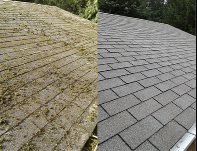 Roof cleaning before and after - showing moss and algae removal